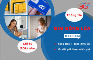 sim bong lua mobi
