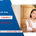 thue bao fast connect la gi