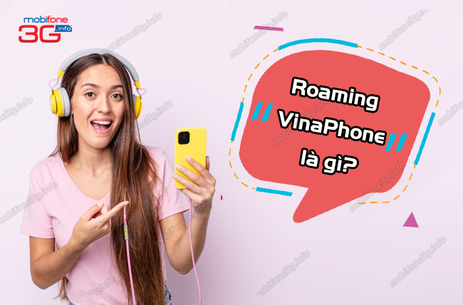 roaming vinaphone la gi? roaming vinaphone