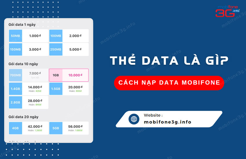 the data la gi