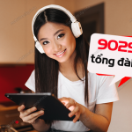 Tổng đài 9029 là dịch vụ gì của MobiFone?
