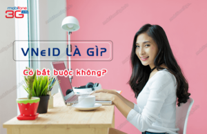 vneid la gi co bat buoc khong?