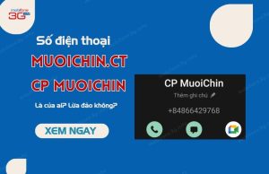 so dien thoai muoichin.ct
